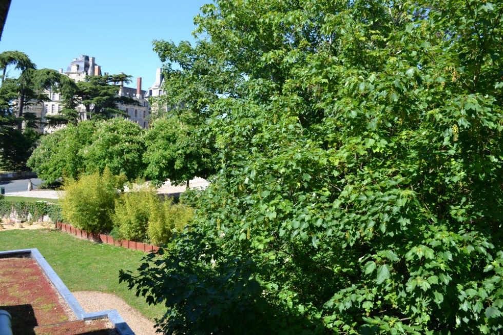 La vue sur le château de Brissac