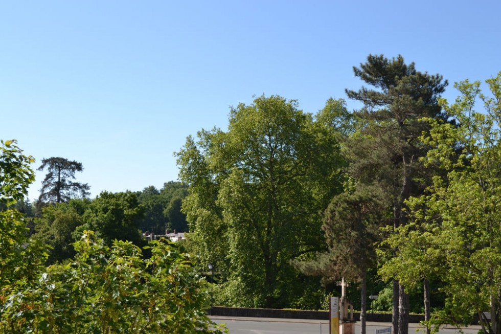 Vue sur la nature environnante