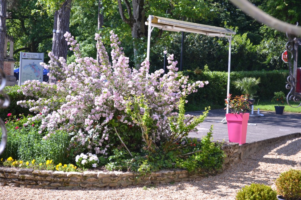 2014-05-17- vue extérieure jardin facade