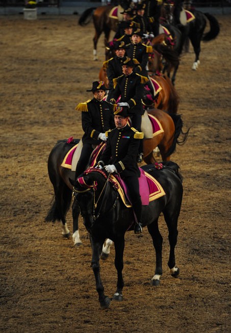 Reprise de dressage du Cadre noir de Saumur 